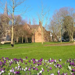 De Donk Park - Etten-Leur