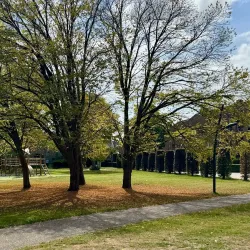 De Donk Park - Etten-Leur