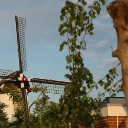 Etten-Leur Windmill (De Hoop) - Etten-Leur