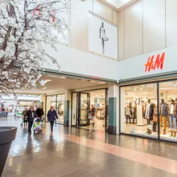 Local Market Square - Etten-Leur