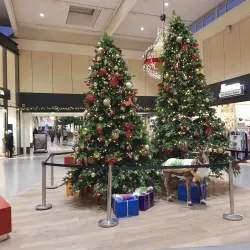 Local Market Square - Etten-Leur