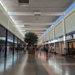 Local Market Square - Etten-Leur