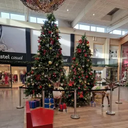 Local Market Square - Etten-Leur