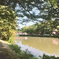 Goes City Walls and Gates - Goes