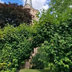 Sint Maartenskerk - Goes