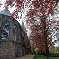 Sint Maartenskerk - Goes