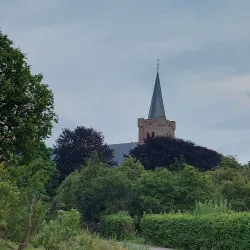 Sint Maartenskerk - Goes