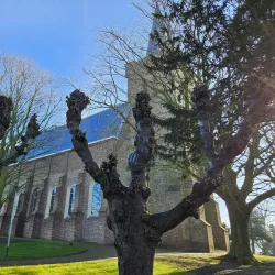 Sint Maartenskerk - Goes