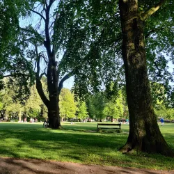 Wilhelminapark - Goes