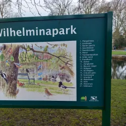 Wilhelminapark - Goes