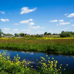 De Goudse Hout Park - Gouda