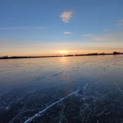 De Goudse Hout Park - Gouda
