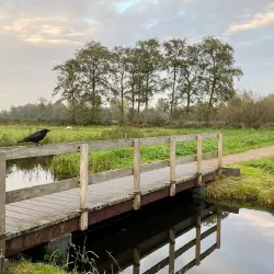 De Goudse Hout Park - Gouda