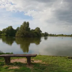 De Goudse Hout Park - Gouda