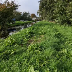 De Goudse Hout Park - Gouda