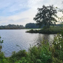 De Goudse Hout Park - Gouda