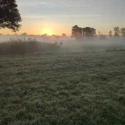 De Goudse Hout Park - Gouda