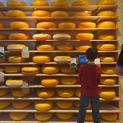 Gouda Cheese Market - Gouda