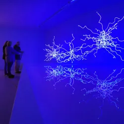 Groninger Museum - Groningen