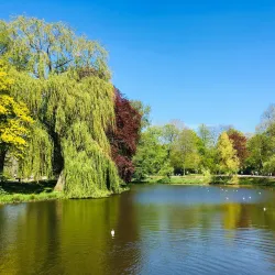 Noorderplantsoen - Groningen