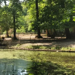 Haarlemmerhout Park - Haarlem