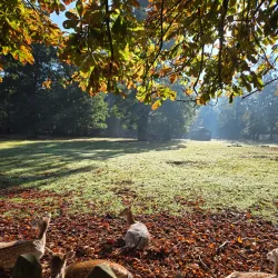Haarlemmerhout Park - Haarlem