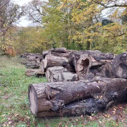 Haarlemmerhout Park - Haarlem