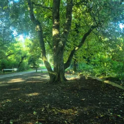 Haarlemmerhout Park - Haarlem