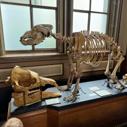 Museum Haarlem - Haarlem