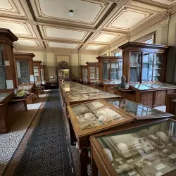 Museum Haarlem - Haarlem