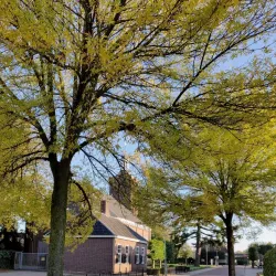 Halle Village Church (Hervormde Kerk) - Halle