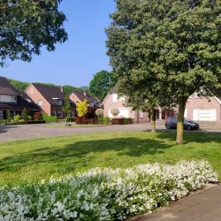 Halle Village Church (Hervormde Kerk) - Halle