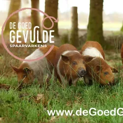 Local Farms and Agricultural Tours - Halle