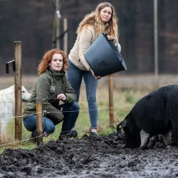 Local Farms and Agricultural Tours - Halle