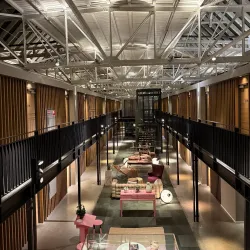 Local Markets and Festivals - Halle