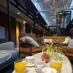 Local Markets and Festivals - Halle