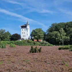 Sallandse Heuvelrug National Park - Halle