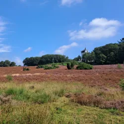 Sallandse Heuvelrug National Park - Halle