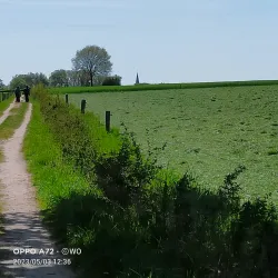 Twente Canal - Halle