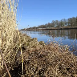 Twente Canal - Halle