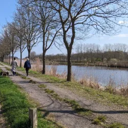 Twente Canal - Halle