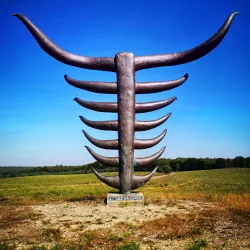 Veluwezoom National Park - Halle