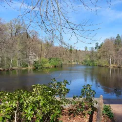 Veluwezoom National Park - Halle