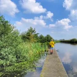 Alde Feanen National Park - Heerenveen
