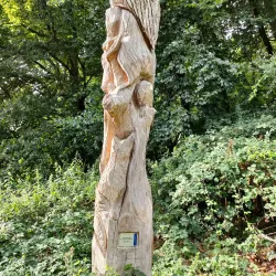 Brunssummerheide Nature Reserve - Heerlen