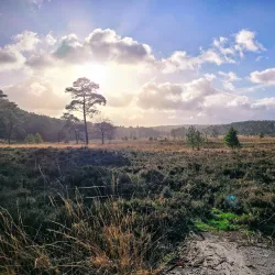 Brunssummerheide Nature Reserve - Heerlen