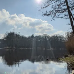 Brunssummerheide Nature Reserve - Heerlen