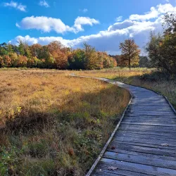 Brunssummerheide Nature Reserve - Heerlen