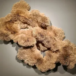 Bollenstreek Museum - Hillegom