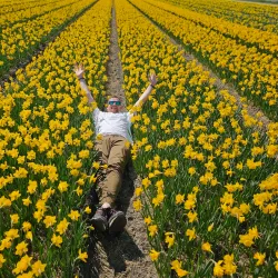 De Tulperij - Hillegom